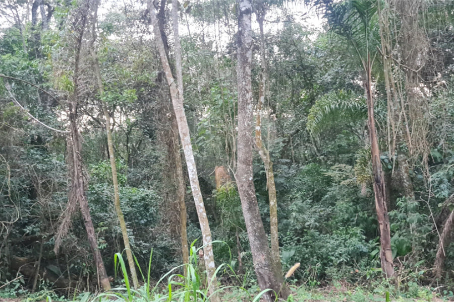 Condomínio à venda em Serra da Cantareira, Mairiporã, SP