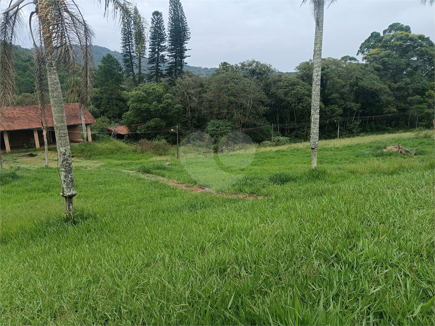 Sítio à venda com 6 quartos, sendo 5 suítes,  em Alto da Serra (mailasqui), São Roque, SP