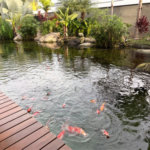 Casa à venda com 5 suítes no condomínio Saint Patrick, Sorocaba - SP