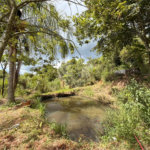 Chácara à venda com 3 quartos, sendo 1 suíte, no Centro, Araçoiaba da Serra, SP
