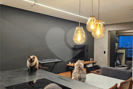 Apartamento à venda com 3 quartos, sendo 1 suíte,  em Vila Zilda (tatuapé), São Paulo, SP