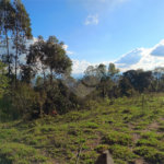 Terreno à venda em Área Rural de Mairiporã, Mairiporã, SP