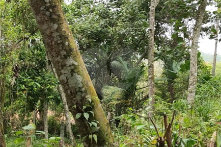 Terreno à venda em Vila Moraes, Mogi das Cruzes, SP