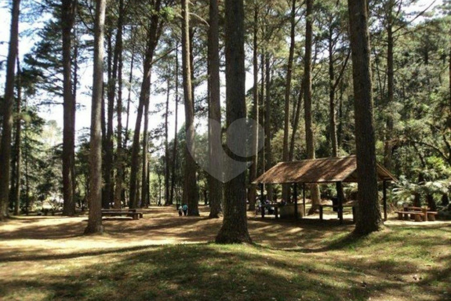 Terreno à venda em Horto Florestal, São Paulo, SP