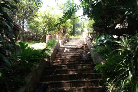 Casa Térrea à venda com 4 suítes em Tucuruvi, São Paulo, SP