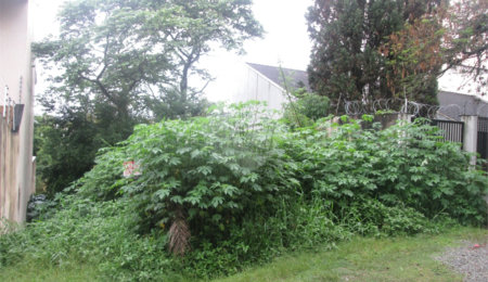 Terreno à venda no condomínio Loteamento Jardim Entre Serras, São Paulo - SP