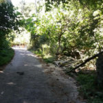 Terreno à venda em Tucuruvi, São Paulo, SP