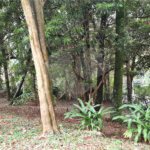 Terreno à venda em Serra da Cantareira, Mairiporã, SP