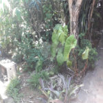 Terreno à venda em Jaraguá, São Paulo, SP