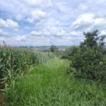 Terreno à venda em Ponte Alta, Atibaia, SP