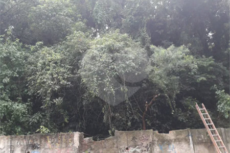 Terreno à venda em Santana, São Paulo, SP