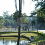 Terreno à venda em Horto Florestal, São Paulo, SP