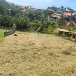 Terreno à venda em Alto da Serra (mailasqui), São Roque, SP