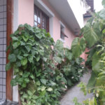 Casa com 4 dorms, Jardim Paulista, Atibaia