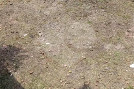 Terreno à venda em Vila Nair, São Paulo, SP