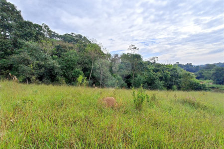 Terreno à venda em Residencial Reserva da Mata, Itapetininga, SP