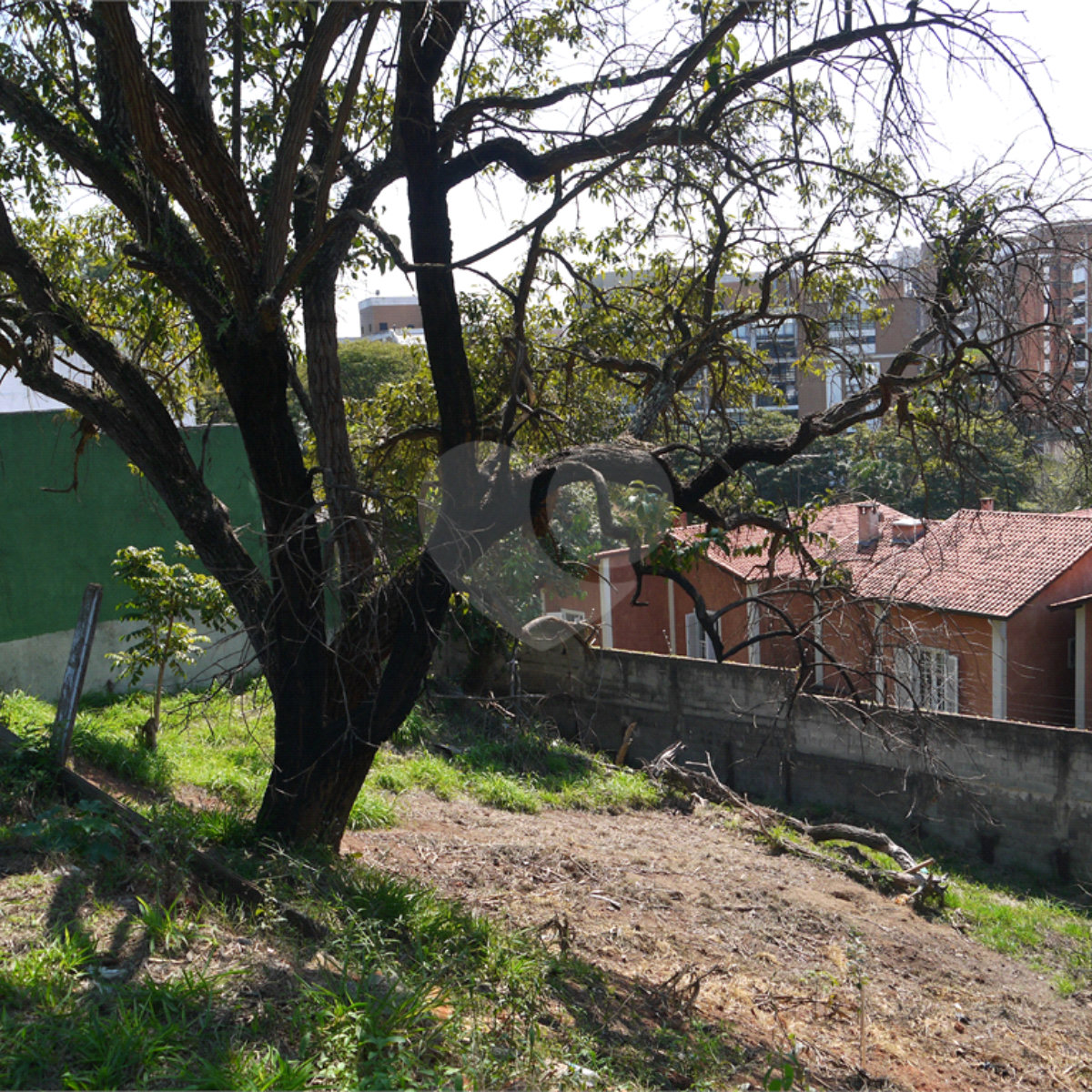 Terreno à venda em Jardim Petrópolis, São Paulo, SP