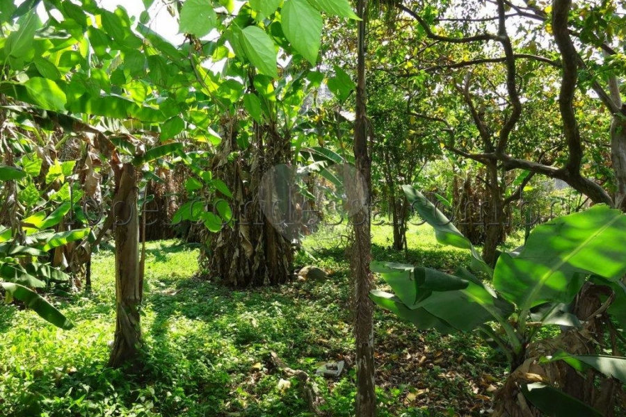 Terreno à venda em Horto Florestal, São Paulo, SP