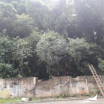 Terreno à venda em Santana, São Paulo, SP