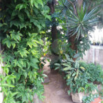 Terreno à venda com 3 quartos em Vila Guilherme, São Paulo, SP