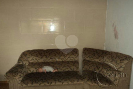 3 casas – alto da mooca