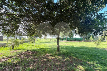 Chácara à venda em Jardim Universitário, Ponta Porã, MS