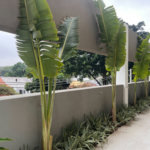 Apartamento à venda com 3 suítes em Butantã, São Paulo, SP