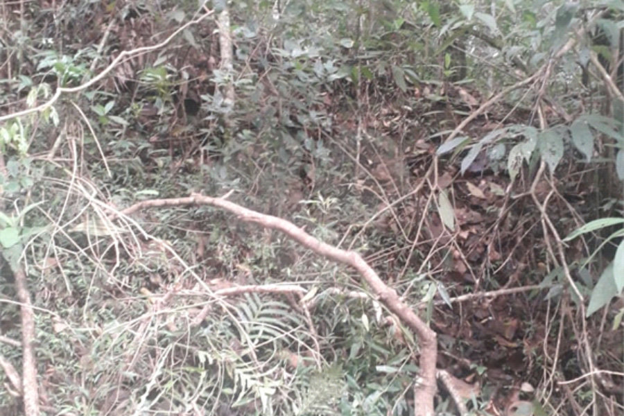 Terreno à venda em Suasalito, Mairiporã, SP