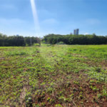 Terreno à venda em Jardim Quitandinha II, Araraquara, SP