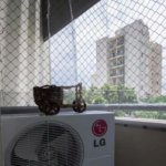 Apartamento à venda ou para alugar com 2 quartos em Vila Mascote, São Paulo, SP