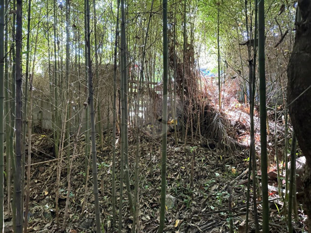 Terreno à venda em Serra da Cantareira, Mairiporã, SP