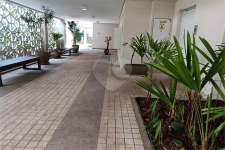 Apartamento à venda com 3 quartos, sendo 1 suíte,  em Jardim Vazani, São Paulo, SP