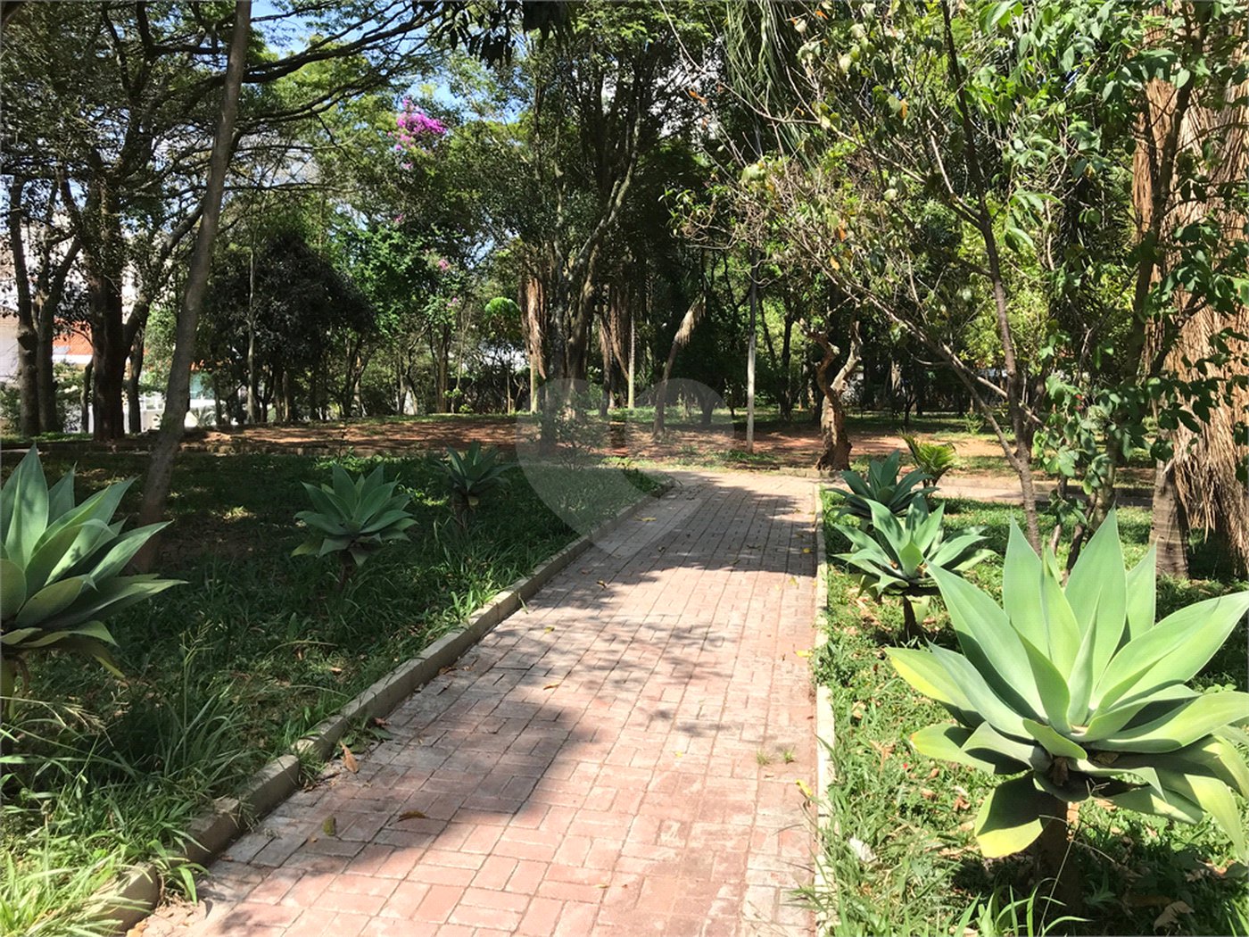 Terreno à venda em Lar São Paulo, São Paulo, SP