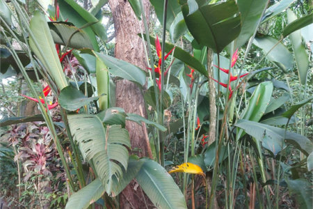 Área de Terra à venda em Éden, Sorocaba, SP