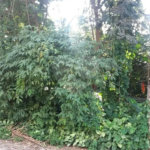 Terreno à venda em Tremembé, São Paulo, SP