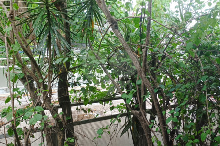 Sobrado à venda com 3 quartos, sendo 1 suíte, em Jabaquara, São Paulo, SP