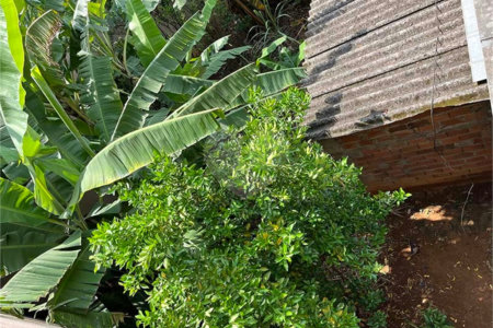 Terreno à venda em Santana, São Paulo, SP