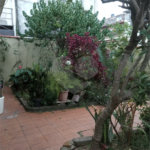 Casa à venda com 5 quartos em Tremembé, São Paulo, SP