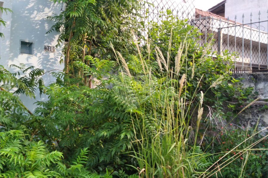 Terreno à venda em Vila Nivi, São Paulo, SP