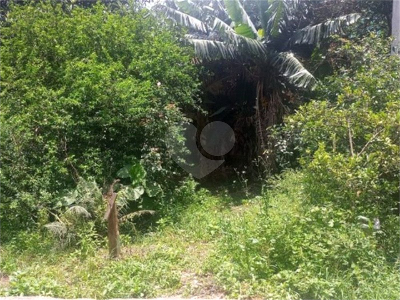 Terreno à venda com 3 quartos em Freguesia do Ó, São Paulo, SP