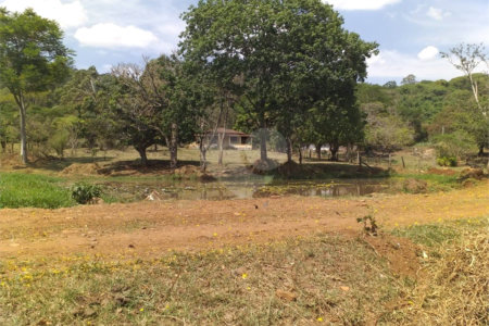 Sítio à venda com 2 quartos no Centro, Descalvado, SP