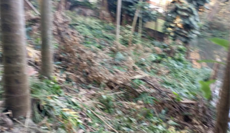 Terreno à venda com 1 suíte em Alto da Boa Vista, São Paulo, SP