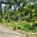 Terreno à venda em Horto, São Paulo, SP