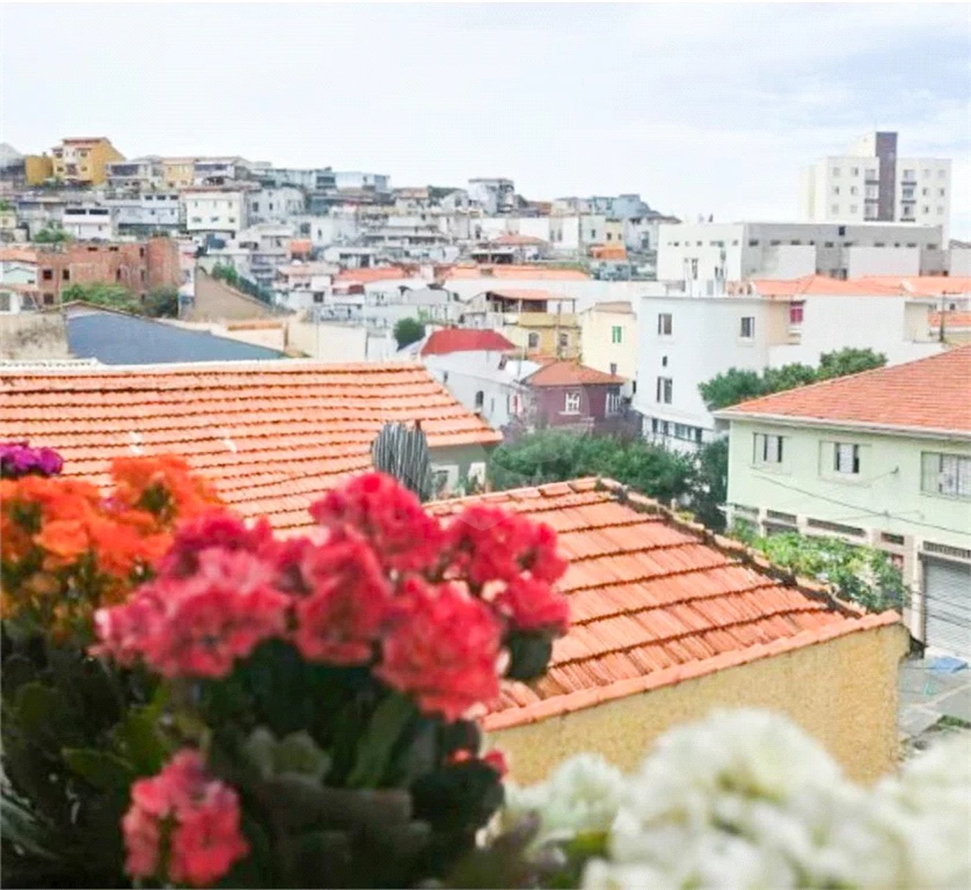 Apartamento à venda com 2 quartos em Parada Inglesa, São Paulo, SP