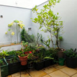 Casa à venda com 3 suítes em Jardim Vila São Domingos, Sorocaba, SP