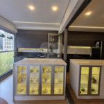 Apartamento à venda com 2 quartos, sendo 1 suíte, em Vila Mariana, São Paulo, SP