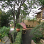 Casa Térrea à venda com 3 quartos, sendo 1 suíte, em Horto Florestal, São Paulo, SP
