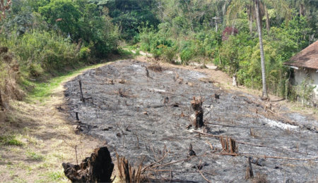Terreno à venda em Rio Acima, Mairiporã, SP