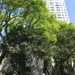 Apartamento para alugar com 1 suíte em Vila Leopoldina, São Paulo, SP