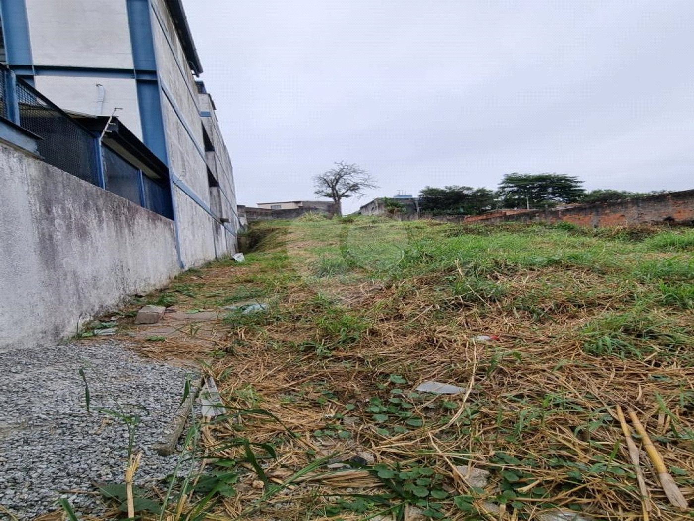 Terreno à venda em Vila Indiana, São Paulo, SP